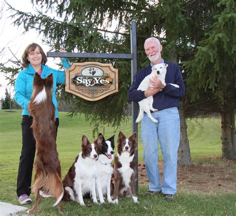 susan garrett dog training|susan garrett dog training program.